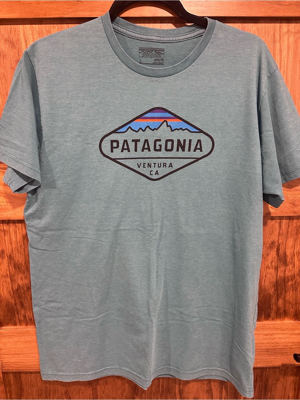 Patagonia Short-Sleeve Logo Tee in Blue with Multicolor Badge